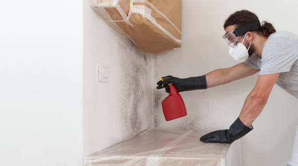 Professional Basement Mold Remediation technician working in Jacksonville, NC